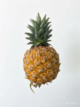 大胖芒果凤梨