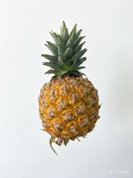 大胖芒果凤梨 商品图0