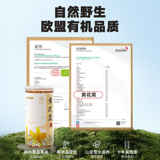 ⁴【发2罐】大兴安岭野生黄花菜 自然晾晒 150g/罐YC04-CR-YKSC【白桦树采汁】 商品图0