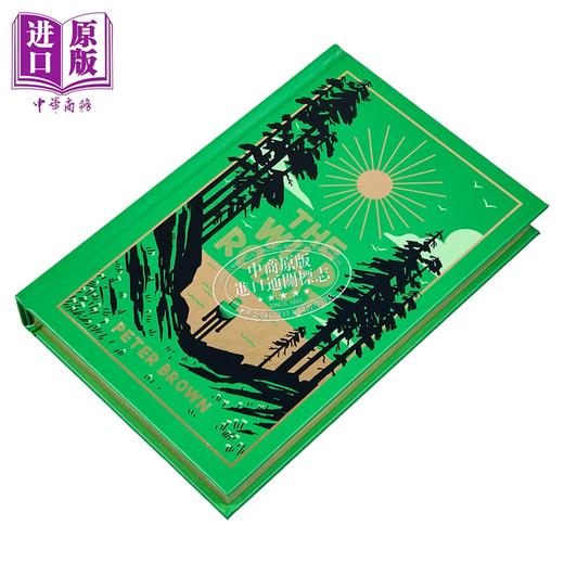 【中商原版】荒岛机器人1 豪华全彩版 烫金刷边精装全彩插图 The Wild Robot  英文原版 凯迪克奖插画师 Peter Brown 荒野机器人 商品图2