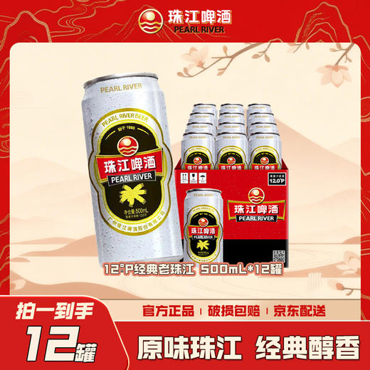 「汪苏泷代言」珠江啤酒经典老珠江500ml*12国产啤酒整箱罐装啤酒易拉罐 商品图0
