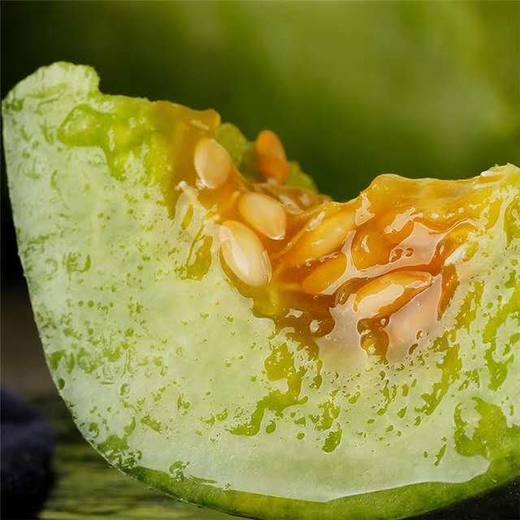 新疆羊角蜜博洋蜜瓜 5-5.5斤/箱 闻着香 咬着脆 吃着甜 商品图3