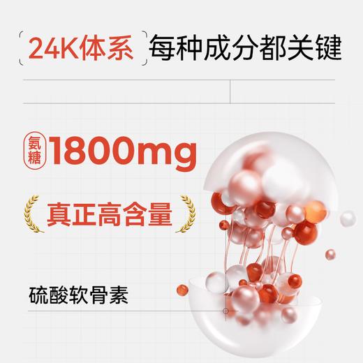 【24K氨糖】OXYENERGY氧气能量氨糖软骨素吞服片 45片/瓶进口高含量 商品图3