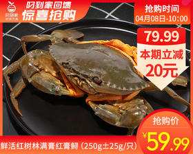 鲜活红树林满膏红膏鲟（250g±25g/只）