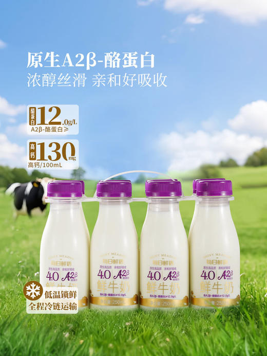 每日鲜语4.0A2-酪蛋白鲜牛奶250mL*8  山姆会员店商品非商品原因不支持退款 商品图1