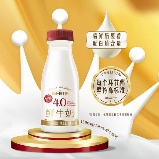 蒙牛每日鲜语4.0特醇鲜牛奶250ml 商品图0