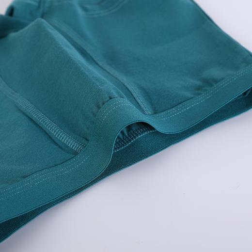 【49元一组4条】32支高密度拉架棉男童儿童内裤-B118、B131 商品图2