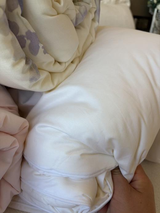 直发 专卖店撤柜尾单 【5斤重】 全棉春秋大豆被 商品图2