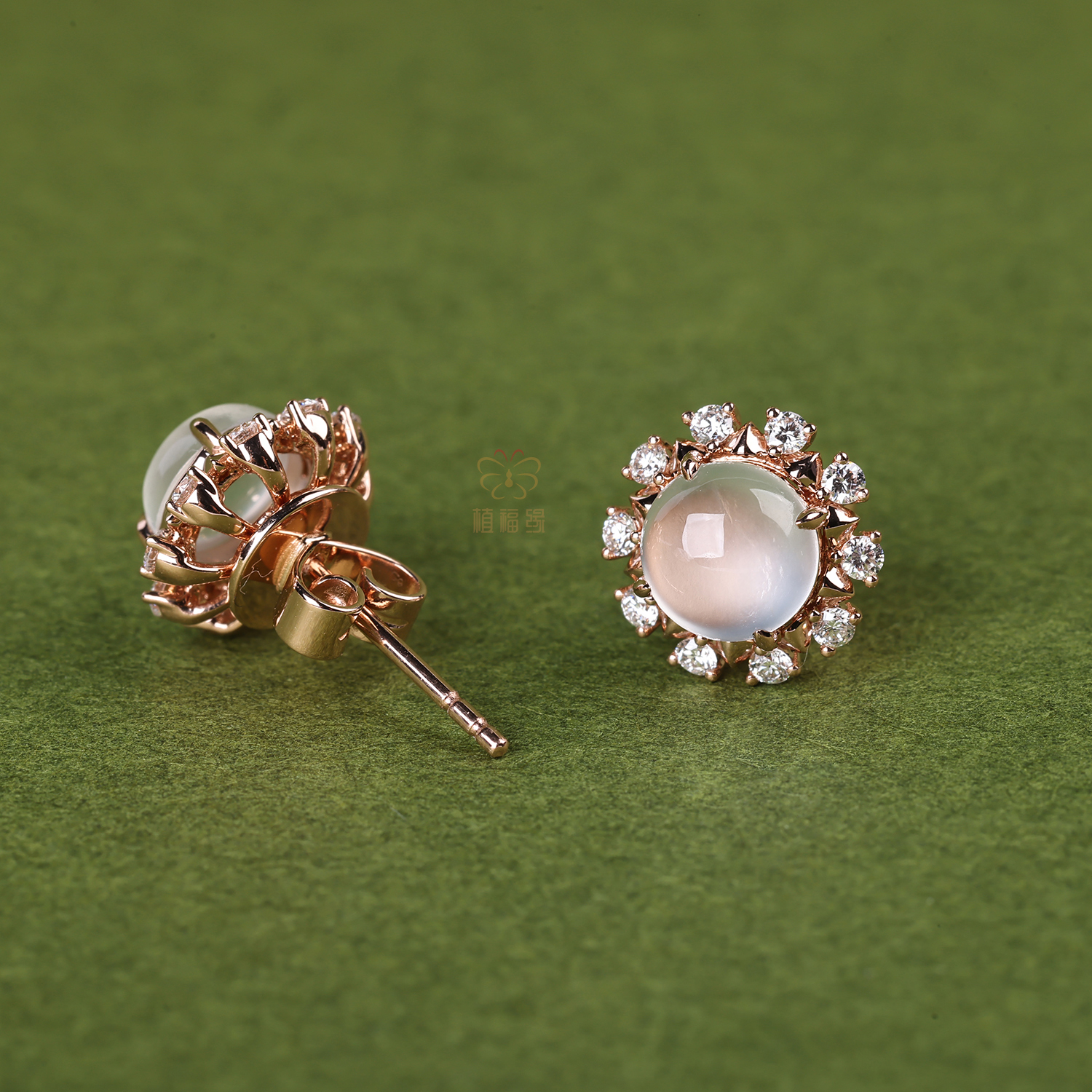 【向光而生】太阳花白蛋耳钉-EZ12601058