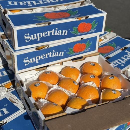 美国新奇士脐橙 商品图4