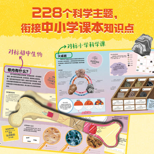 《DK玩出超强科学脑》全6册 商品图3