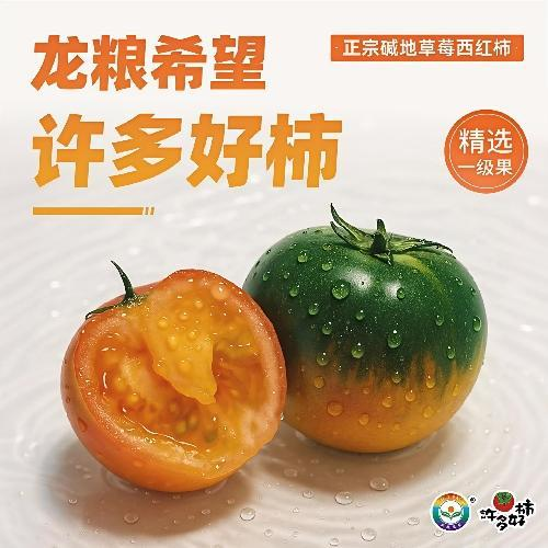【自营】“许多好柿” 正宗碱地草莓西红柿 精选一级果5斤精品礼盒装