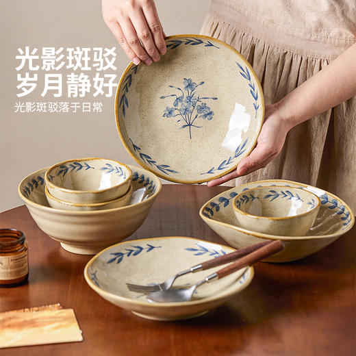摩登主妇釉下彩复古餐具碗碟家用2026新款米饭碗具高级感盘子深盘 商品图1
