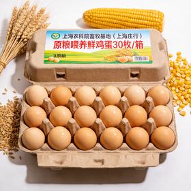 上海农科院畜牧基地原粮喂养鲜鸡蛋 30枚/箱（现捡直发）