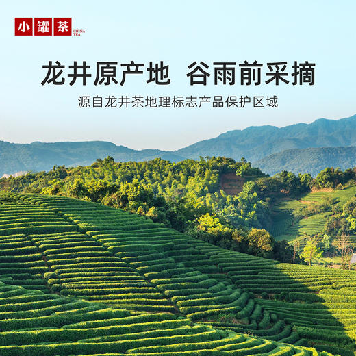 【2026春茶】小罐茶·口粮系列·雨前龙井茶日常装 90g【预售】 商品图1
