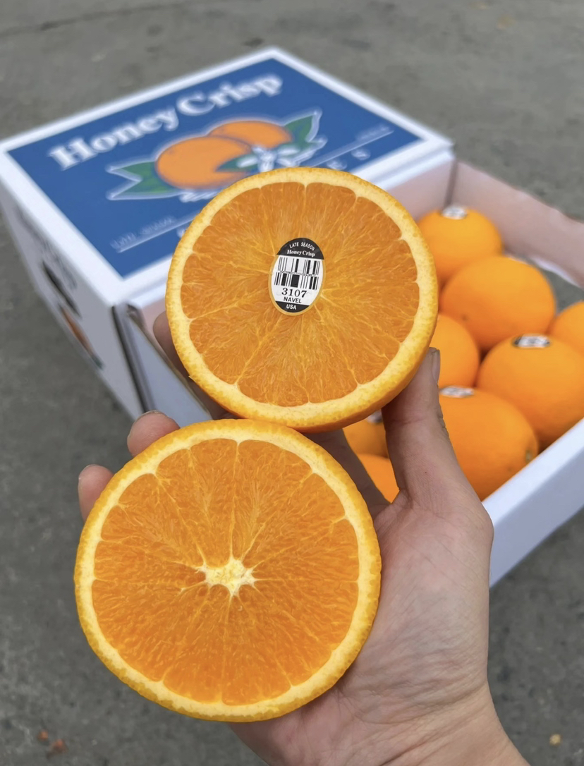 美国新奇士脐橙