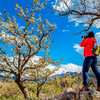 周末1天【梨花大道78元】镇罗营万亩梨花-迎来最佳赏花期-7公里休闲徒步 商品缩略图0