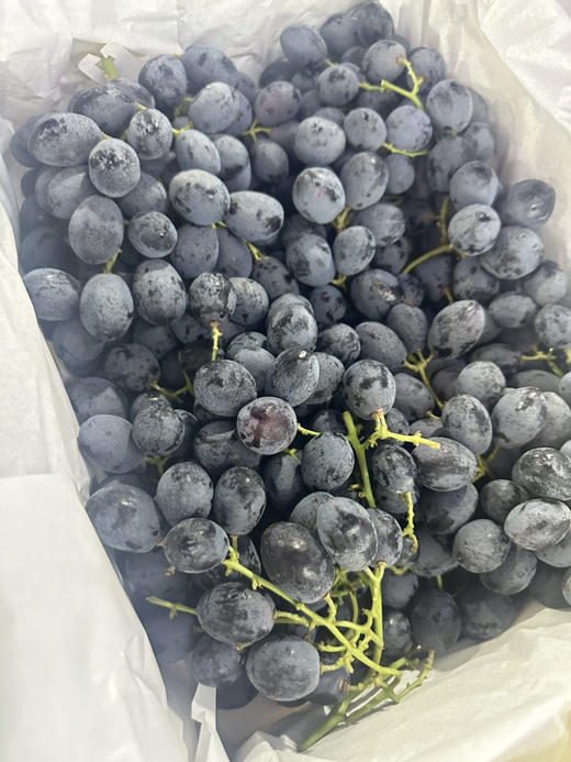 【浓香塞蜜甜】澳大利亚神秘梦境黑提 商品图6