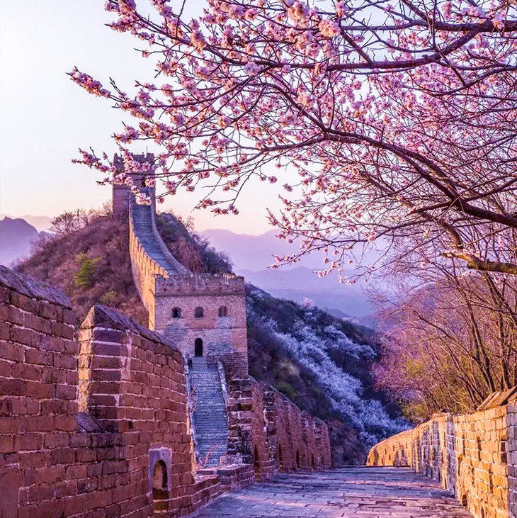 4月12日【金山岭长城国际徒步大会】智汇长城·花漾未来の人与机器人共登长城徒步大会