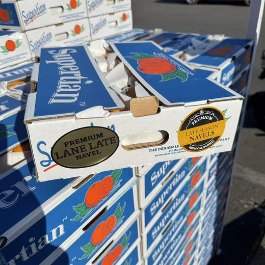 美国新奇士脐橙 商品图6