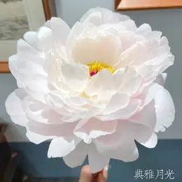 【昆明仓】芍药 | 典雅月光
