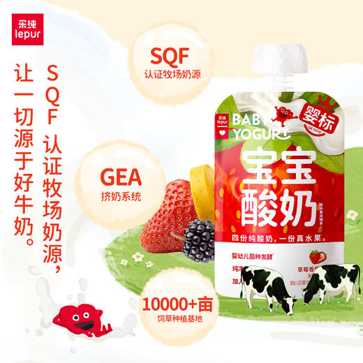 乐纯水果儿童酸奶常温果泥宝宝酸奶水果多口味50g 商品图4