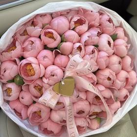 【山东仓现货】顺丰空运包邮  | 软鲑鱼碟（此品种为小花头，介意慎拍）