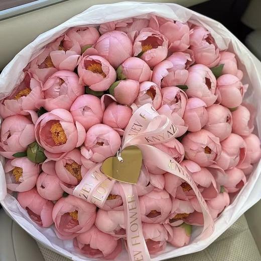 【山东仓现货】顺丰空运包邮  | 软鲑鱼碟（此品种为小花头，介意慎拍） 商品图0