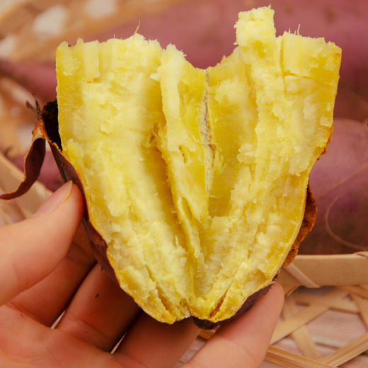 【京东快递】桥头地瓜 淡黄细腻  5斤精品大果/中小果 家庭/彩箱/礼盒装 商品图3