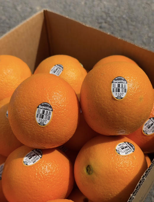 美国新奇士脐橙 商品图1