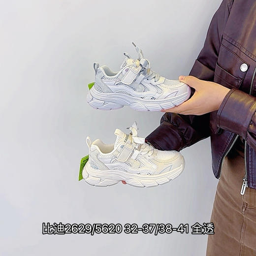 比迪2629/5620 商品图0