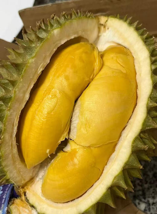 托曼尼榴莲 商品图1