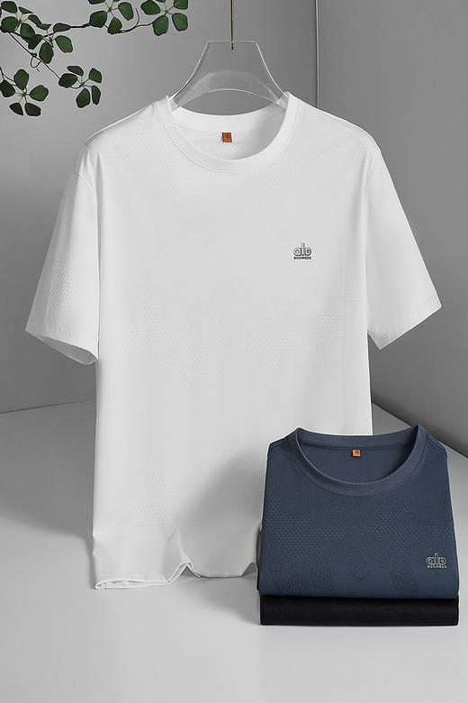 【DWP】大依优型大码男装冰丝圆领短袖T恤运动户外休闲百搭上衣夏季男士 商品图5