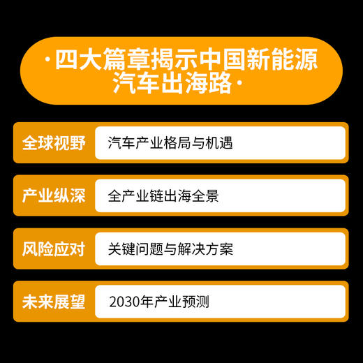 驶向全球：中国新能源汽车产业国际化发展之路 张永伟著 新能源汽车国际化出海指南书籍 商品图2