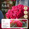 头水花玫瑰品鉴装 商品缩略图3