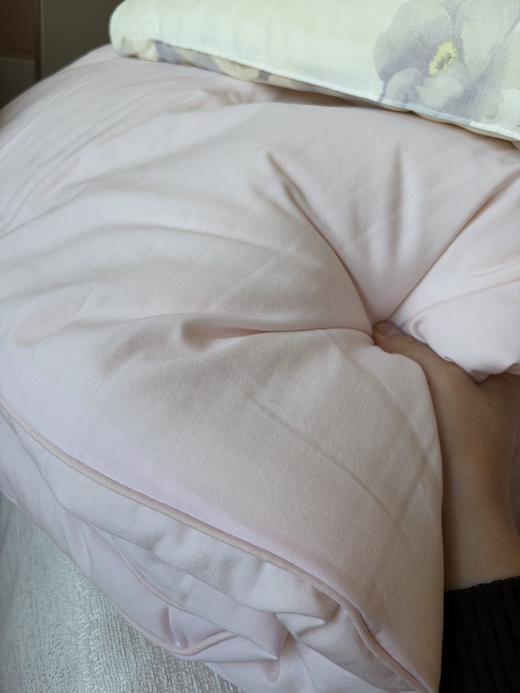 直发 专卖店撤柜尾单 【5斤重】 全棉春秋大豆被 商品图8