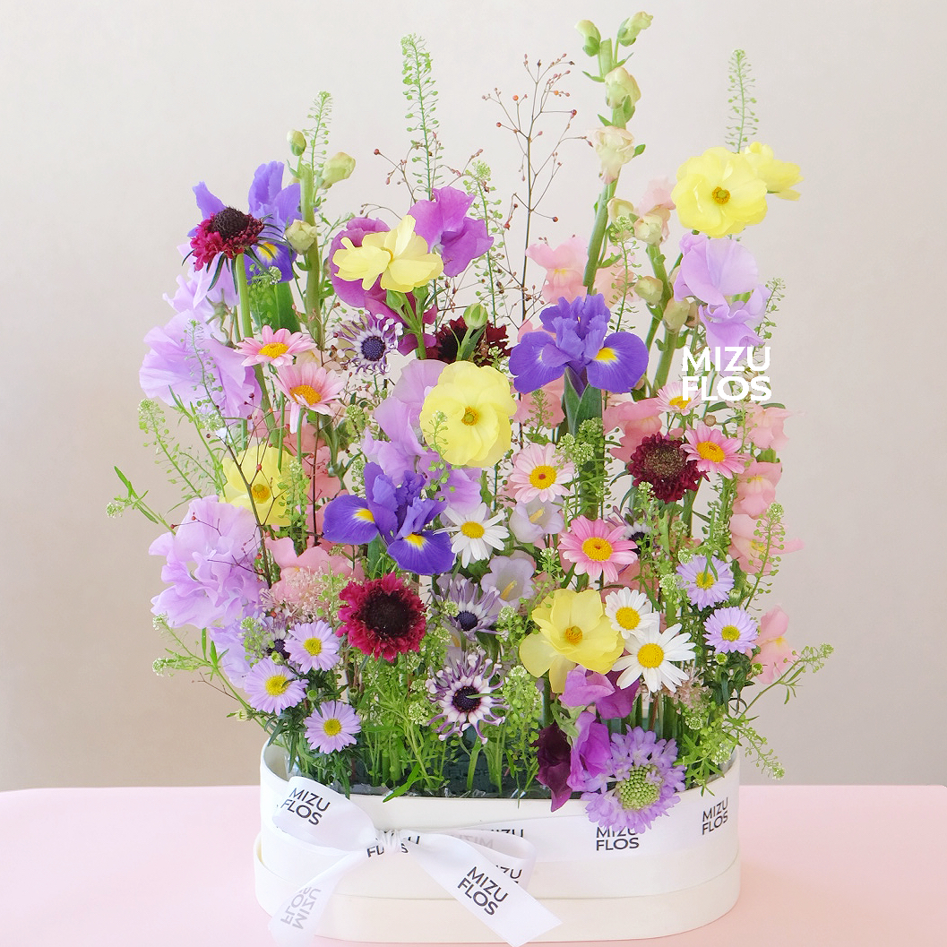 / 四 月 花 语 /（今日现花）