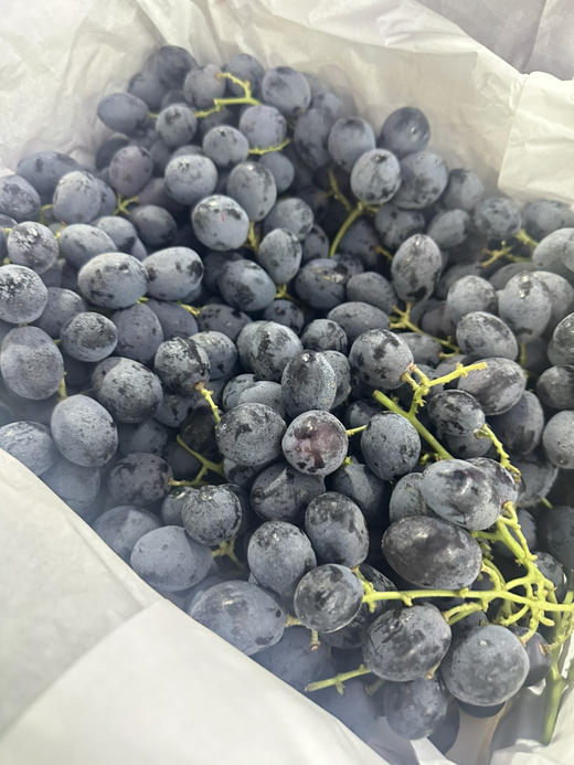 【浓香塞蜜甜】澳大利亚神秘梦境黑提 商品图5