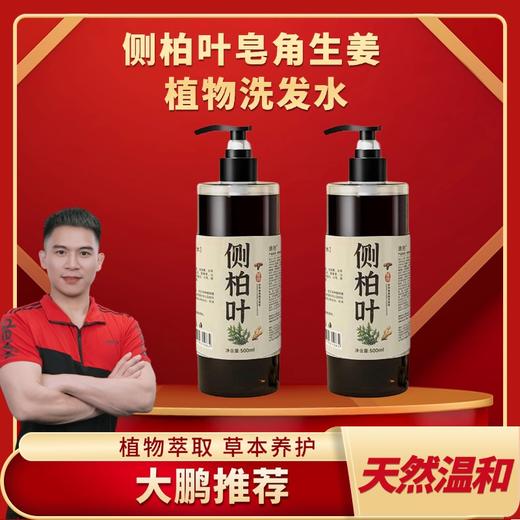 【大鹏】侧柏叶皂角生姜植物洗发水无硅油控油去屑 2瓶装 商品图0