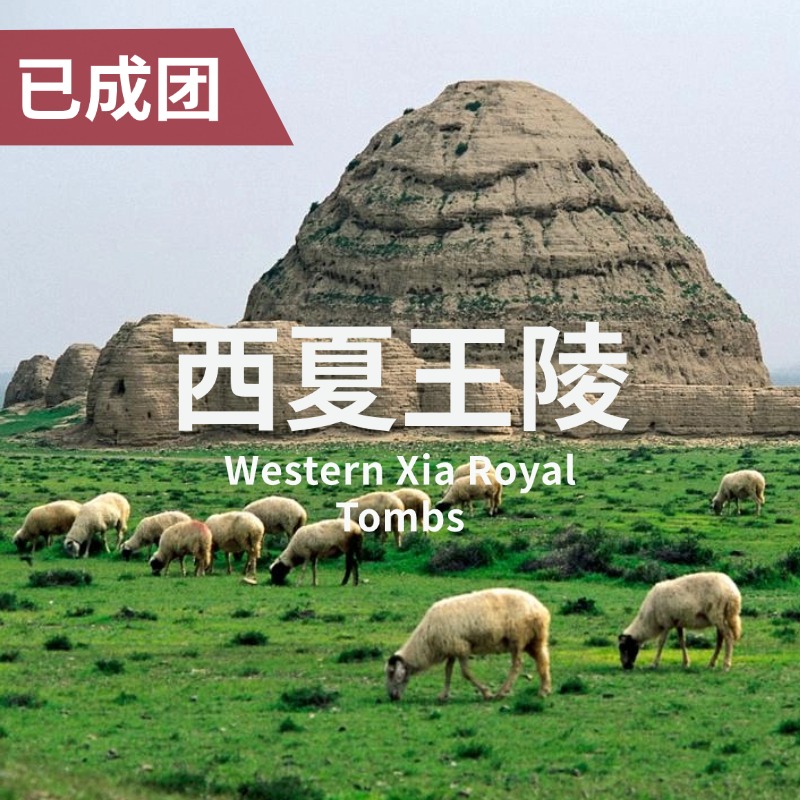 5.29-31｜贺兰山下的“东方金字塔”——西夏王陵