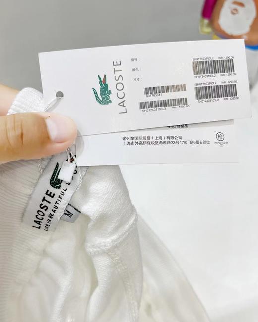 F040725夏季新款男女同款柔软亲肤时尚百搭休闲纯棉毛圈短裤 商品图8