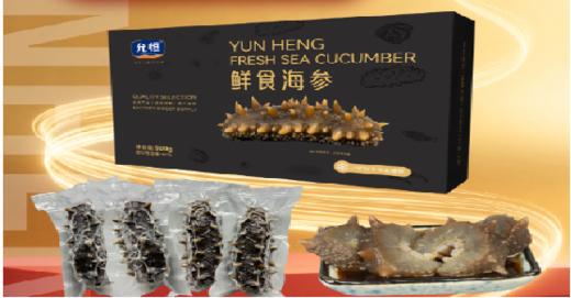 【门店同款】鲜食海参（500g/盒/8只） 商品图0