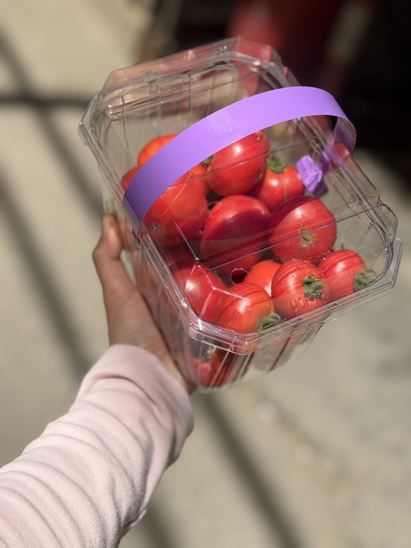 嘉红100红番茄2斤装