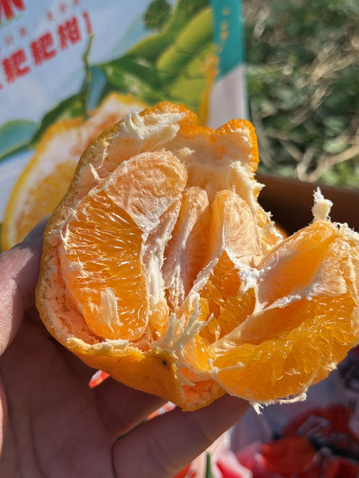 山地蜜味·耙耙柑 商品图2