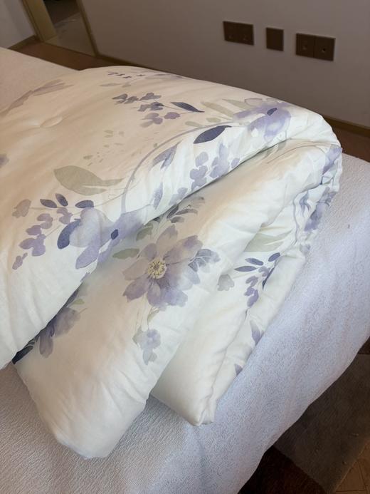 直发 专卖店撤柜尾单 【5斤重】 全棉春秋大豆被 商品图3