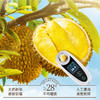 【到手4盒】榴莲西施泰国A级金枕榴莲肉香甜280g/盒 TY 商品缩略图2