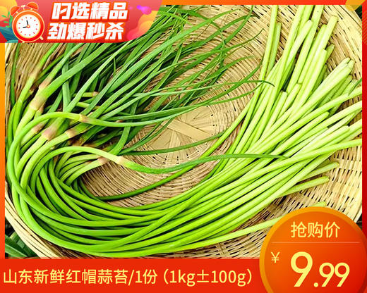 山东新鲜红帽蒜苔/1份（1kg±100g） 商品图0