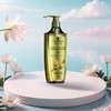 施华蔻生姜精华洗发露 商品缩略图6