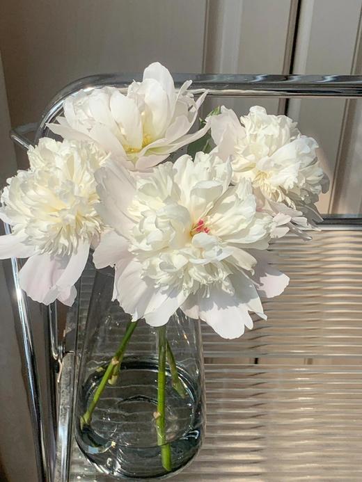 【春末花神-重瓣芍药】花骨朵发货，需醒花，芍药周期只有1周，喜欢花花的不容错过~ 商品图5