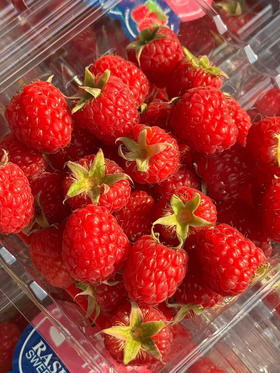 【云南花蝶香红树莓】